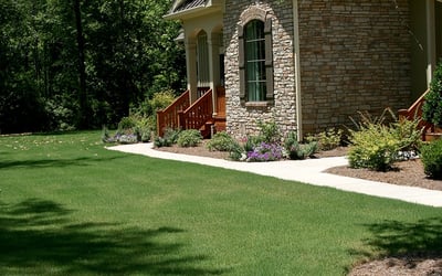 Tifway 419 Bermuda Lawn Maintenance