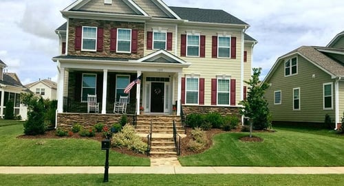 Zenith Zoysia Lawn Maintenance