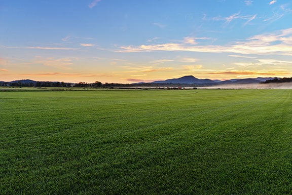 Hendersonville_NC_sod_farm