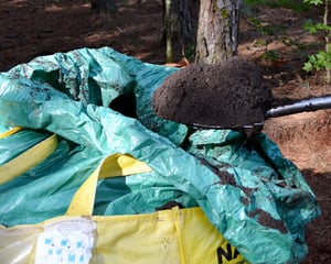 The Difference Between Peat Moss and Compost