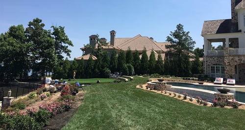 July Tall Fescue Lawn Tips for 2025