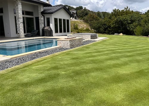 July Warm Season Lawn Tips for 2025