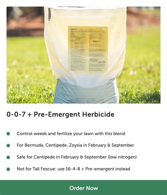 Getting Rid of Hairy Bittercress Weeds | Weed Control Tips