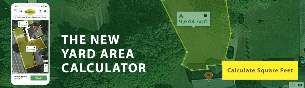 New call-to-action